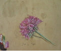 Blume Kopiekl